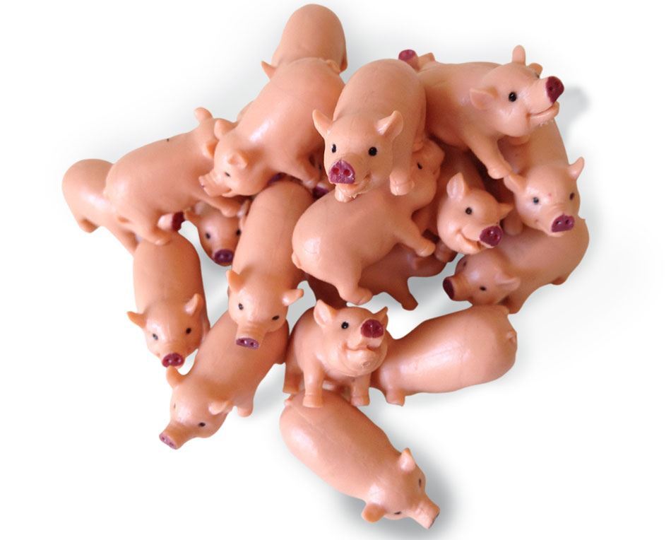 Pig Pile